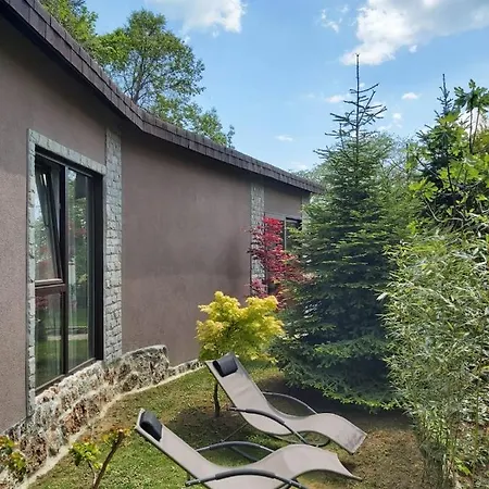 Guest Flirt Golden Sands