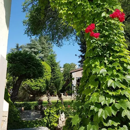 Hotell Guest Flirt *