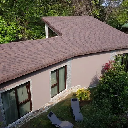 Guest Flirt Golden Sands