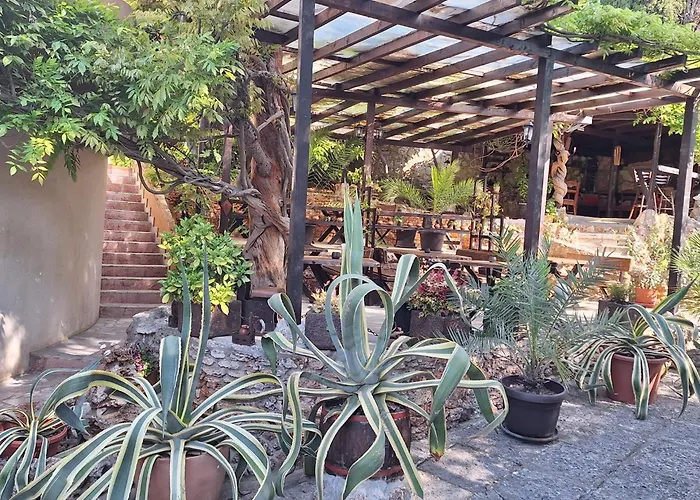 Guest Flirt Hotel Golden Sands