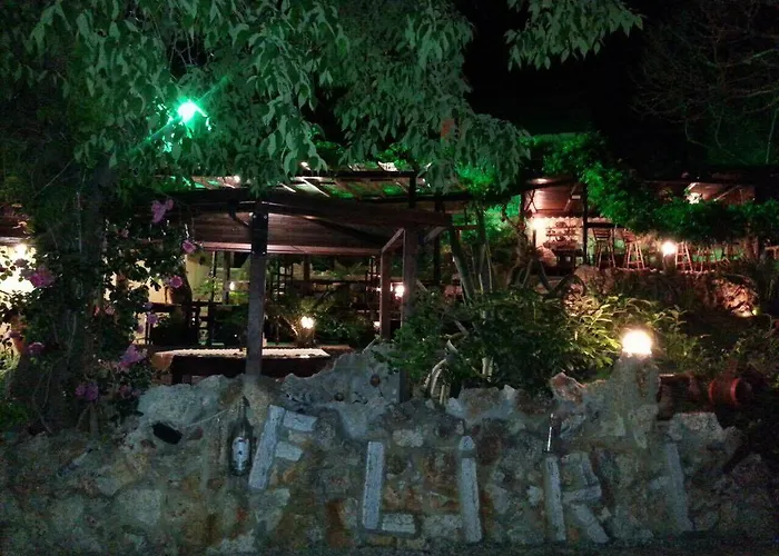 Guest Flirt Golden Sands